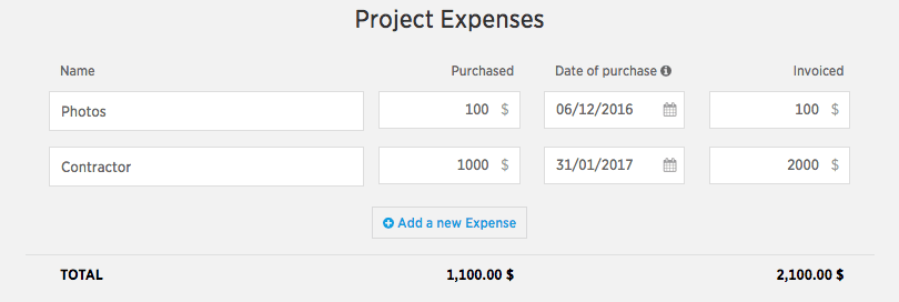 project-expense.png